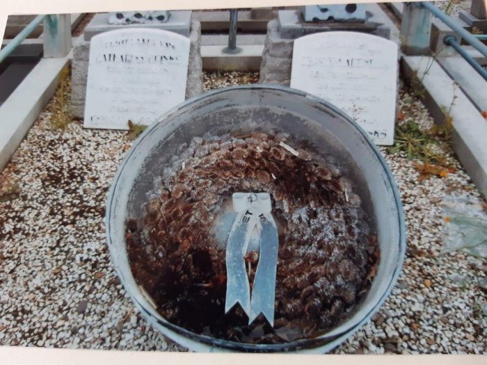 Trommel met kaardenbolkrans in Emmen